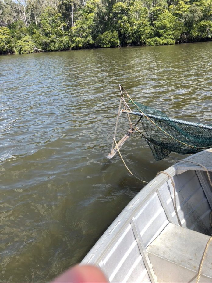 Beam Trawling in the Noosa River and Lakes - Open Noosa