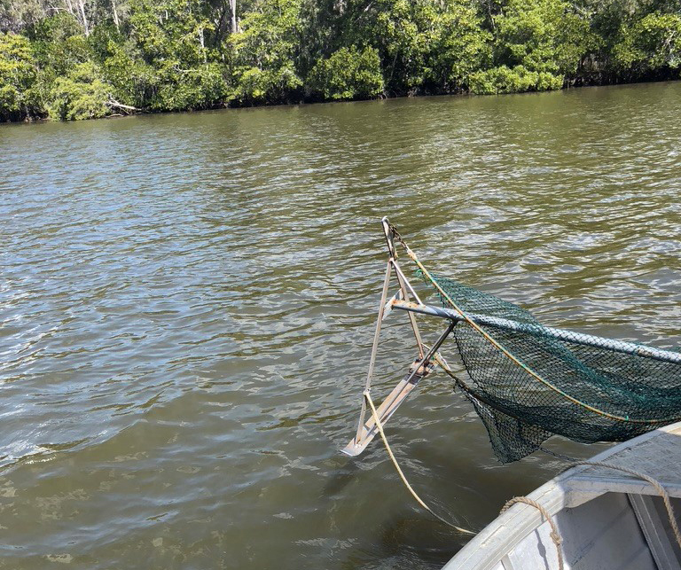 Beam Trawling in the Noosa River and Lakes - Open Noosa